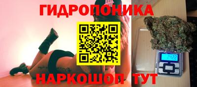 прущая мука Кимры
