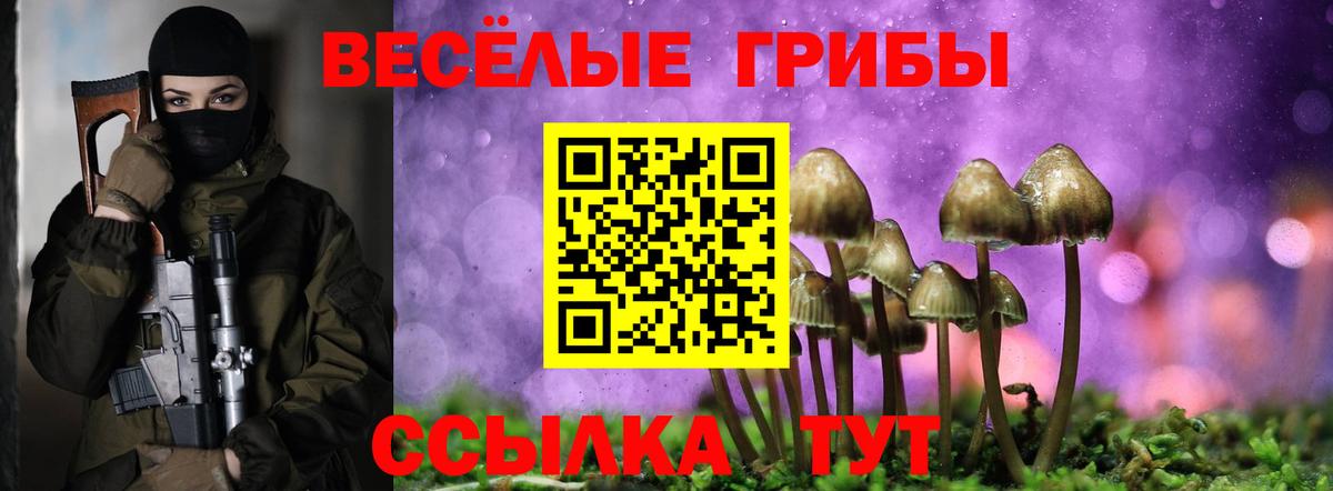 Железногорск  Галлюциногенные грибы ЛСД  Вход с VPN  Псилоцибиновые грибы MAGIC MUSHROOMS 